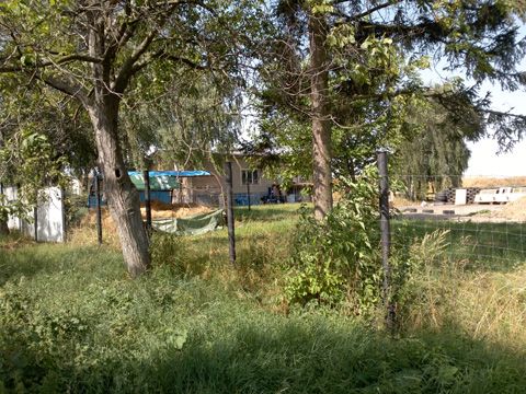 Foto 53